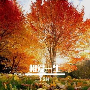 相爱一生(伴奏)