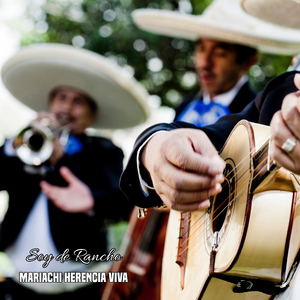 No Me Quedé Con las Ganas