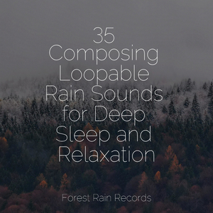 Lake, Water Lapping, Light