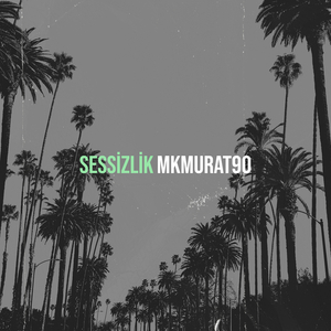 Sessizlik