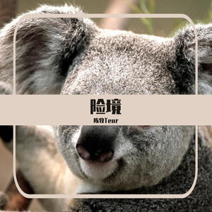 险境(prod by youngmarkin/8Boomin)