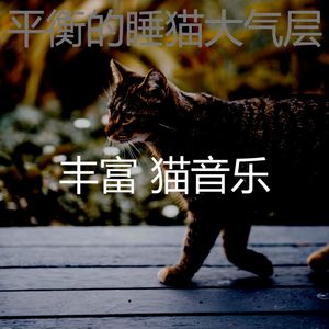 温和猫午睡时间梦想