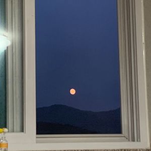 祝大家晚安（good night）