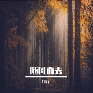 随风而去