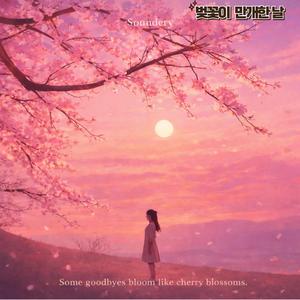 벚꽃이 만개한날