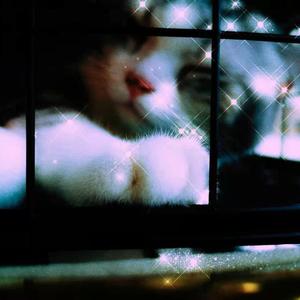 回忆簿(Prod by. Lil siren）