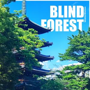 The Blind Forest (interlude)