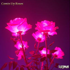 Comin up Roses