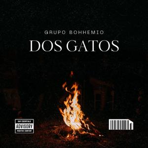 DOS GATOS