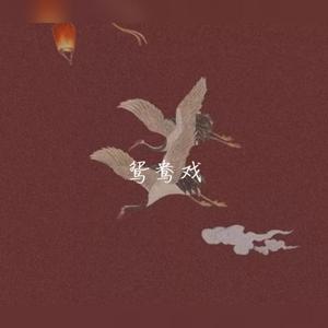 鸳鸯戏（抖音可爱版)