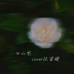 白山茶 cover陈雪凝
