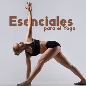 El Flujo de Tu Respiración