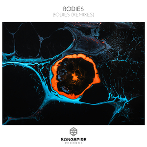 Bodies (Erdi Irmak Remix)