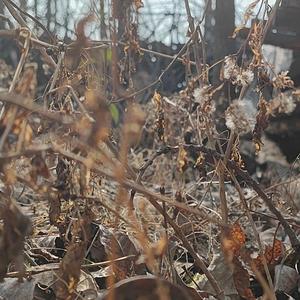 王力宏-大城小爱（万忆 remix）