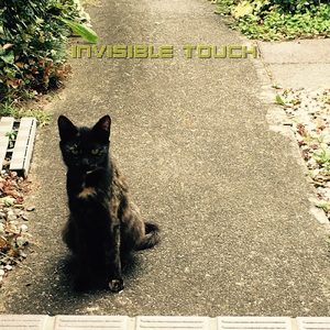 Invisible Touch (Cover)