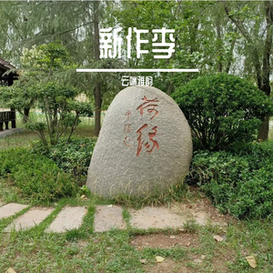 迷雾星河-整曲