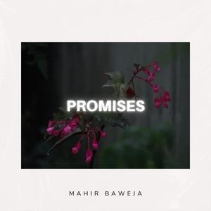 Promises
