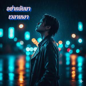 อย่ากลับมาเวลาเหงา