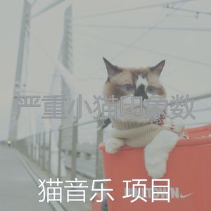 微妙的睡猫心情