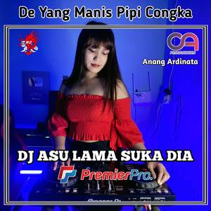 Dj Asu Lama Suka Dia