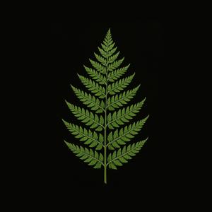 Welcome To The Jungle