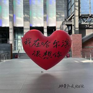 你不说真心话让我怎么为你大冒险