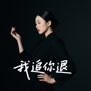 我 追 你 退(D J 彭 锐 版)