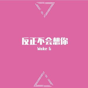 反正不会想你（prod.by 9zi）