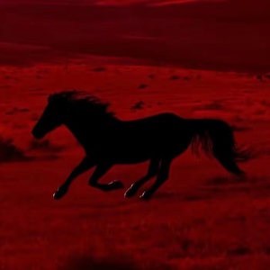 你走了六个月零五天