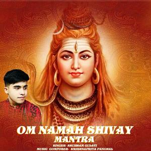 Om Namah Shivaye (feat. Krishnapriya Panchal)