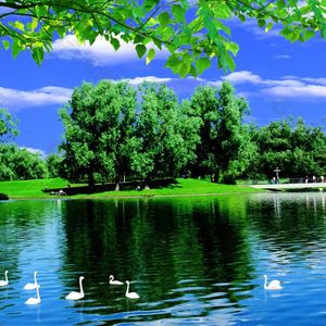 一个月-整曲 伴奏