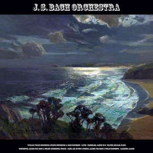 Canon and Gigue in D Major: II. Gigue