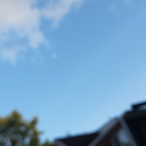 if anything, they feel sorry for you