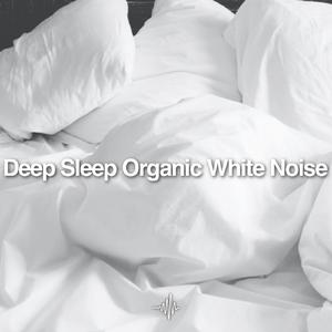 Alpha Noise (Loopable)