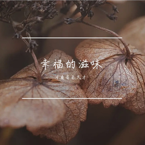 幸福的滋味prod.白昼星BZX