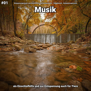 Entspannungsmusik pt. 75