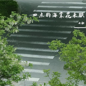 四点的海棠花未眠