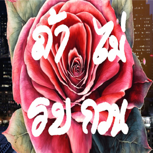 ถ้าไม่รบกวน