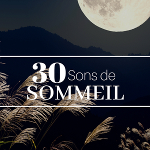 Voix de l'âme