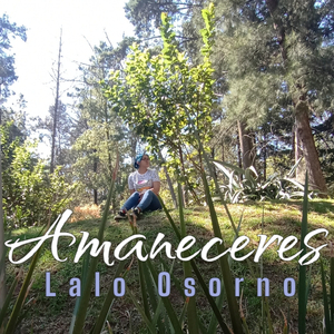 Amaneceres