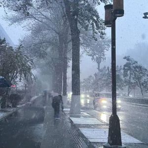 某天（prod.白昼星BZX）