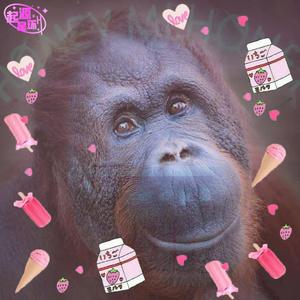 Kong Kim (prod by #Rye&Poree)