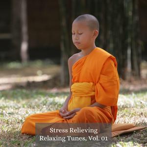 Humble Sound promotes Solutions