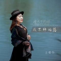 流不干的泪戒不掉的想 (DJ默涵版)