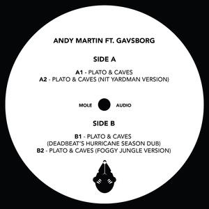 Plato & Caves (Foogy Jungle Version)