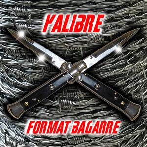 Format Bagarre
