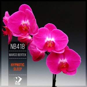 Hypnotic Sleep (Original Mix)