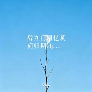 辞九门回忆莫问归期 (DJ版)