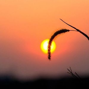 江湖之间-朝歌夜弦_曹雨航