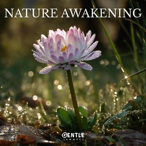 Nature Awakening